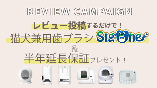 neikonu/PETKIT レビューでプレゼントキャンペーン開催。