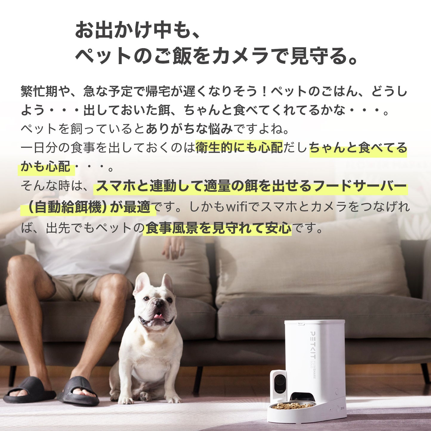 P571 /カメラ付き自動給餌機