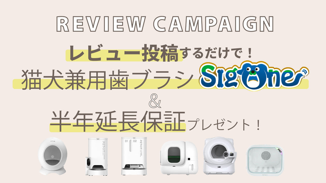 neikonu/PETKIT　レビューでプレゼントキャンペーン開催。