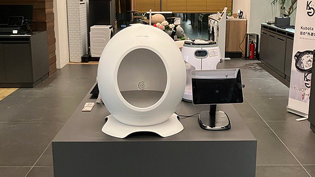 neikonuが蔦屋家電＋（二子玉川 蔦屋家電　1階）にて展示開催中