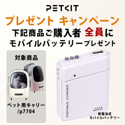 キャリーバッグ / P7704