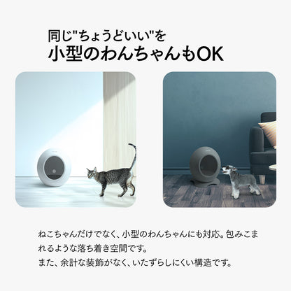 neikonu  床暖房・床冷　ペットルーム