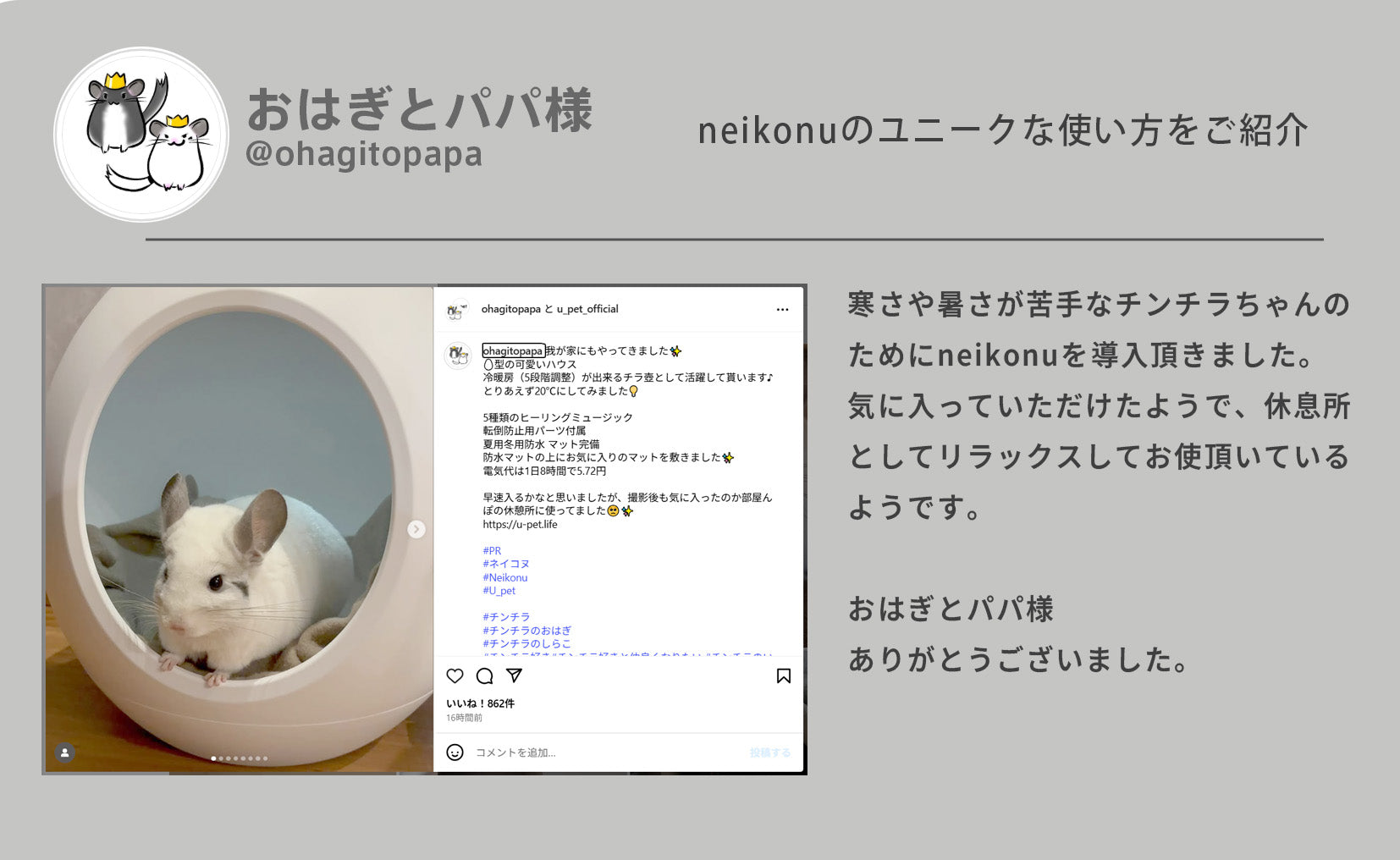 neikonu 床冷・暖房ルーム　ネイコヌ neikonu 床冷・暖房ルーム – U-pet