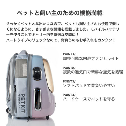 キャリーバッグ / P7704